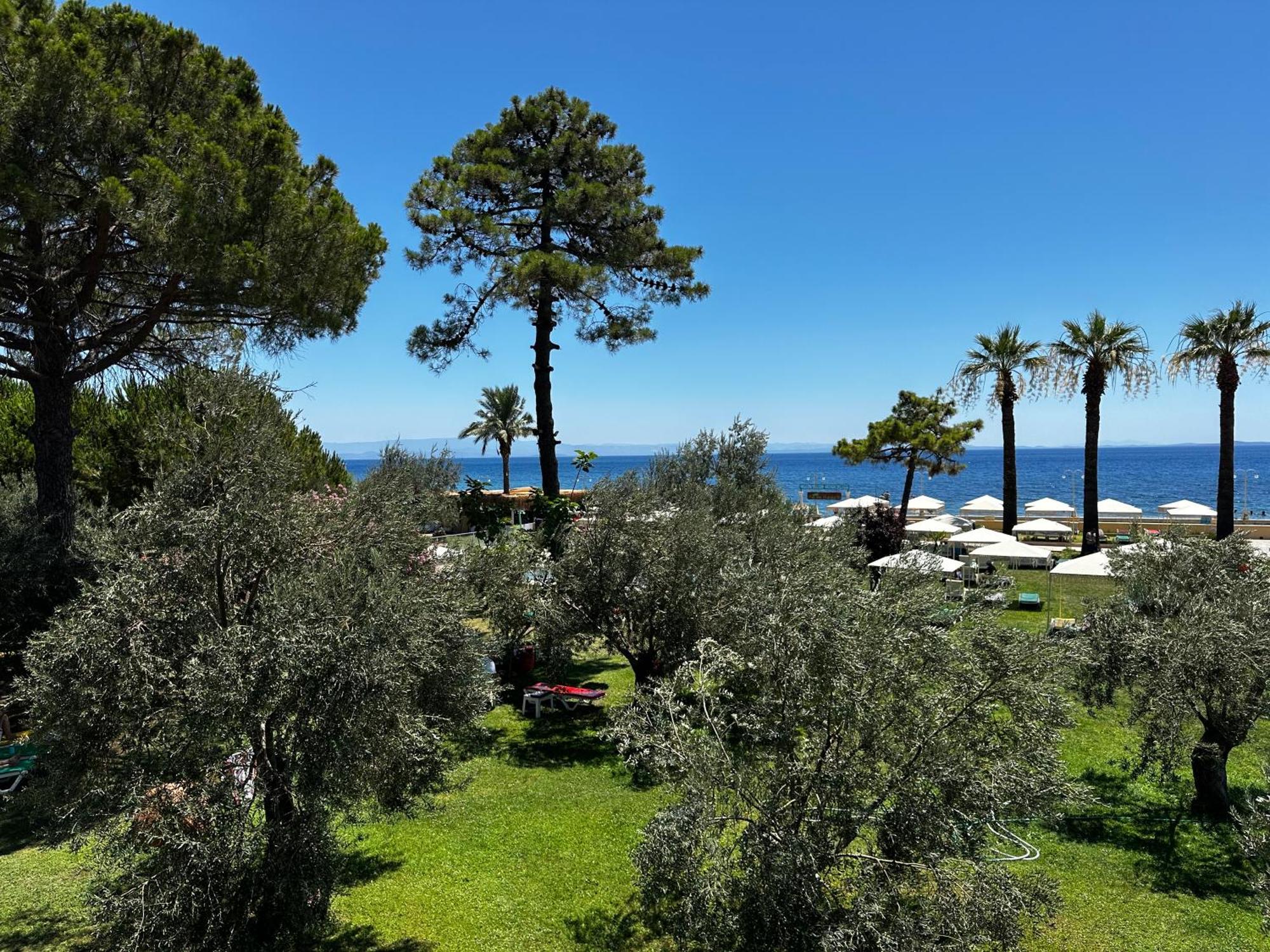 Palm Beach Hotel Küçükkuyu Dış mekan fotoğraf