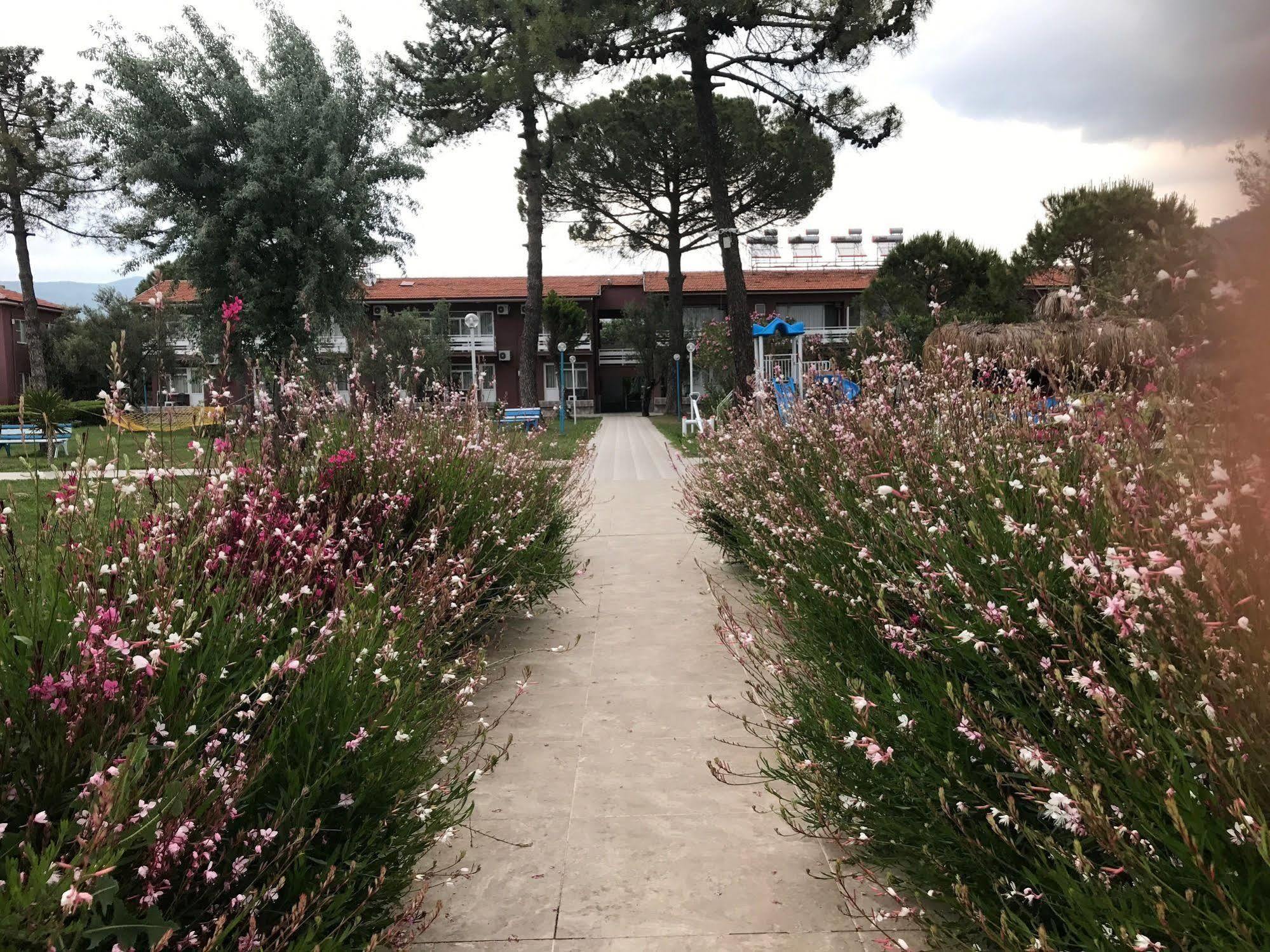 Palm Beach Hotel Küçükkuyu Dış mekan fotoğraf